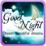 good night gallery android application logo